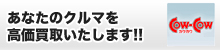 ���Ȃ��̎Ԃ���������